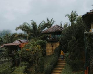 Khaosok Boutique Camps - 9