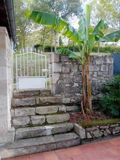 Gite en terrasse - 3