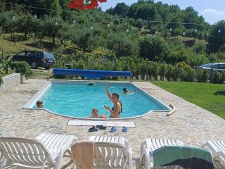 David House Piscina incalzita si jacuzzi - 8