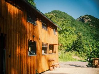 English bus, tiny house, hot tub spa - 9