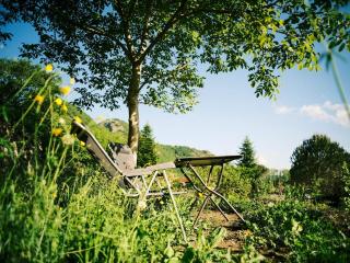 English bus, tiny house, hot tub spa - 6