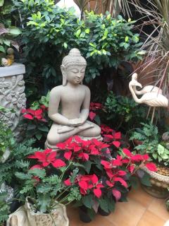 On the House homestay - 3