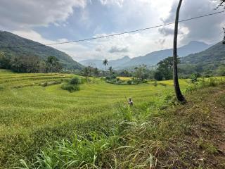 Kenath Paddy Cabin - 2