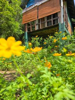 Kenath Paddy Cabin - 1