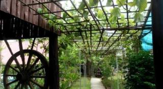 Phu Resort - 3