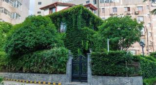Jin Jiang Nanjing Hotel - 4