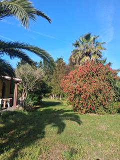 Il Giardino di Ercole - 8