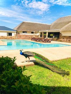 Siqalo Resort-EBhubesini - 0