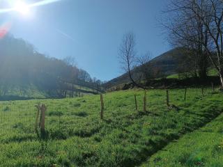 Chambre à la campagne - 1