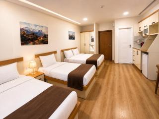 The Grand Valence Hotel - 1