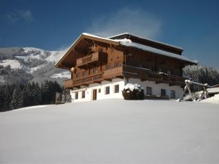 Apartment Bauernhof Thurnummerstall - Hollersbach im Pinzgau - 8