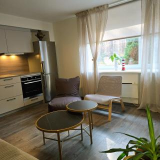 Apartamentai su SPA ir terasa 6 asm - 4