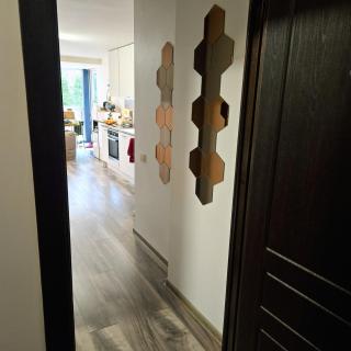 Apartamentai su SPA ir terasa 6 asm - 3