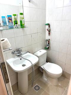 Casa Andu Centru - 8
