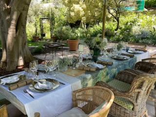 Classic Home in Franschhoek - 8