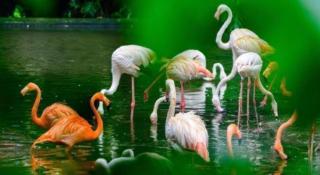 Springtime Hotel - Guangzhou - 3