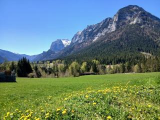Kaltbachlehen Ferienwohnungen - Ramsau - 3