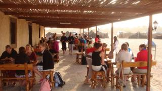 Campement Sahara Oasis Douz - 1