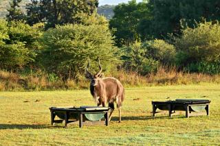 BON Hotel Rustenburg - 2
