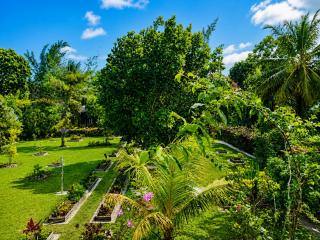 VILLA LA RUCHE - Îles aux Nattes - Plage & Jardin Tropical - 9