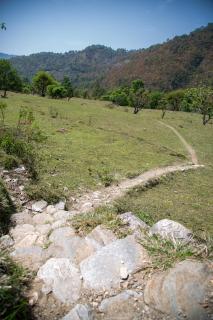 Dudhraaj Camping Huts and Cabins, Uttrakhand - 6