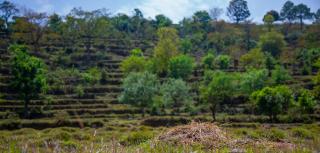 Dudhraaj Camping Huts and Cabins, Uttrakhand - 1