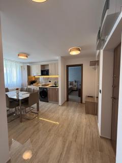 Apartamente Baile Felix Casa Romaneasca - 1