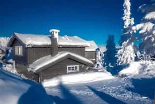 Trysilfjellet Nord 1111B - 0
