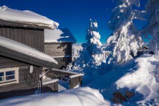 Trysilfjellet Nord 1111B - 9