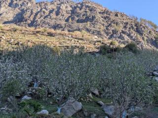 Prakriti Homestay - 7