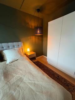 Luxury Apartment Copenhagen Harbor View - 4