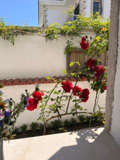 Alaçatı Albatross Hotel - 4