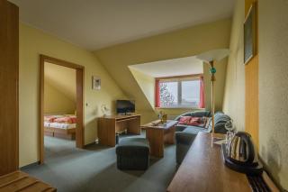 Hotel-Pension am Rosarium - Sangerhausen - 7