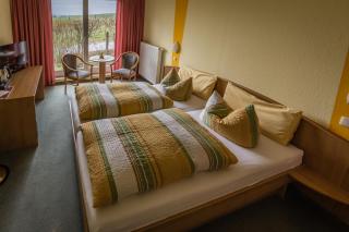 Hotel-Pension am Rosarium - Sangerhausen - 3