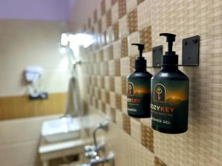 Cozykey Hotel Dehradun - 9