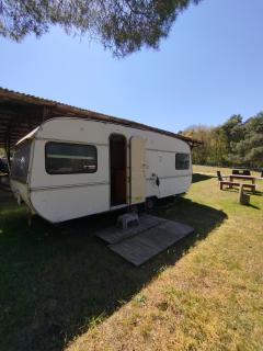 Retro Caravan auf Tierschutzhof am Wald - 7