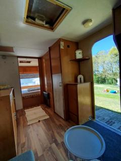 Retro Caravan auf Tierschutzhof am Wald - 5