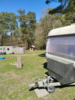 Retro Caravan auf Tierschutzhof am Wald - 1
