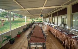 The Wild Forest Resorts - 2
