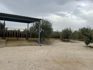 Villa rural en Marchena - 4