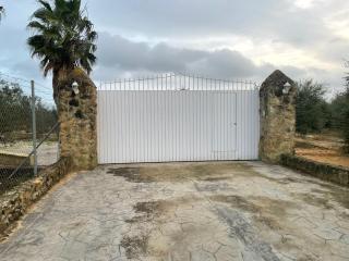 Villa rural en Marchena - 1