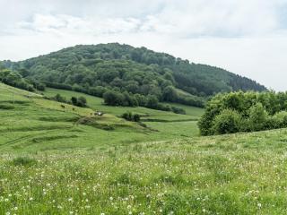 Uitzenea farmhouse with private garden - 1