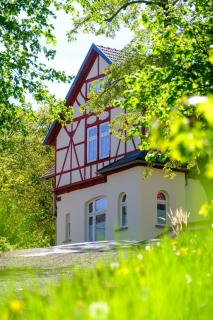 stylisches Apartment im Villenviertel - 7