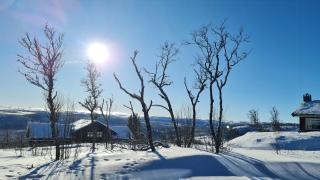 Modern Family Cabin Near Kikut In Geilo - 6