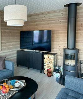 Panoramic Cabin By Lake Lundevannet - 4
