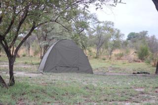 Moae Campsite - 3