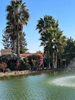 New villa & private pool - Agadir and Taroudant - 2