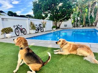 Adrift Guesthouse - 8