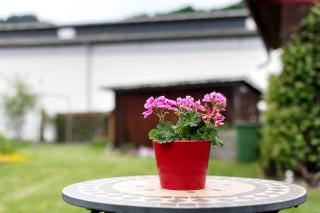 Haus Belchenwind - 2