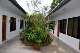 Hotel Jungle House - Iquitos - 4